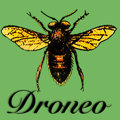 Droneo 1.4.0 Example