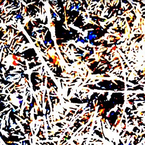 Shumawa / Leave Us Alone