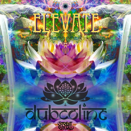 01 - Elevate