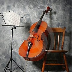 SILENZIUM Voice Of The Soul (Death cello cover)