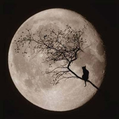 Alan Dep Moon (Azteck Project Remix)