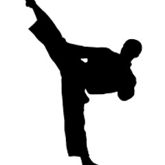 Martial arts music