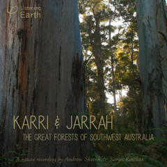 Karri and Jarrah, The Great Forests of Southwest Australia - Album Sample