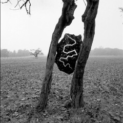 Thunder And Lightning -By Thunder Ft. Lightning