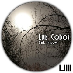 Luis Cobos - Night In The Woods(original Mix)