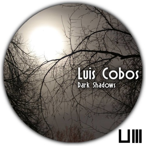 Luis Cobos - Night In The Woods(original Mix)
