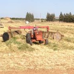 ISLEY BROYHERS COVER "Harvest for the world" RAY T.