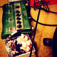 Haunted Delay (Mark Holcomb) Pro Tone Pedals