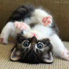 Back To The Bass-icks Chad OGuin & TZ rap song 2014