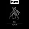 Big Up Mix 93 - Harem (Old Apparatus)