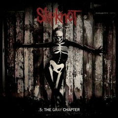 Slipknot - Custer (COVER)