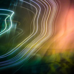 Selina Miles x The Push