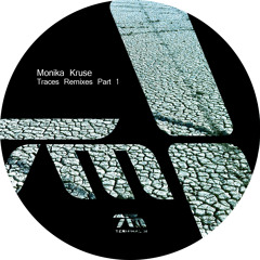 TERM098 Monika Kruse - Traces Remixes Part 1