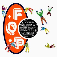 X Dolphin Antartica - A1