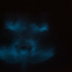 LUNA DEL MAR Extract