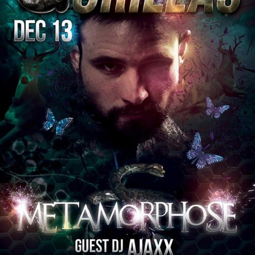 Gorillas Metamorphose