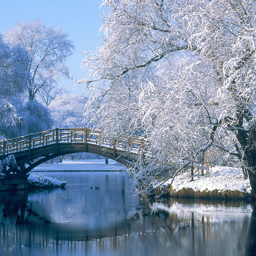 Winter Vibes