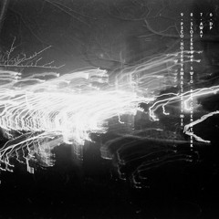 Thingamajicks - Sloterdijk's Wig