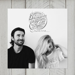 Animal (Mike Snow Cover) // Brandon and Leah