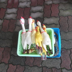 The Prick Jaggers - Obituary Tour, house gig on 8th April 2006