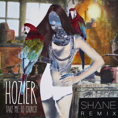HOZIER - Take Me To Church (Shane Remix)