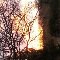 Salsa tequila po polsku