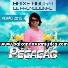 FORRÓ DA PEGAÇÃO - SEXTOU PROMOCIONAL DE VERÃO