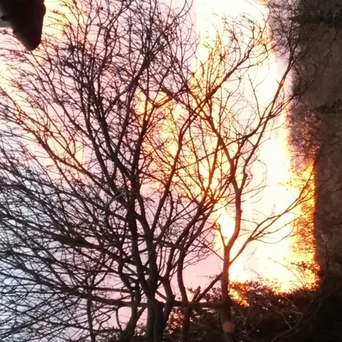 Salsa tequila po polsku