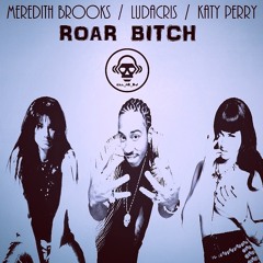 Roar Bitch (Meredith Brooks / Ludacris / Katy Perry)