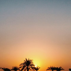 Arabic