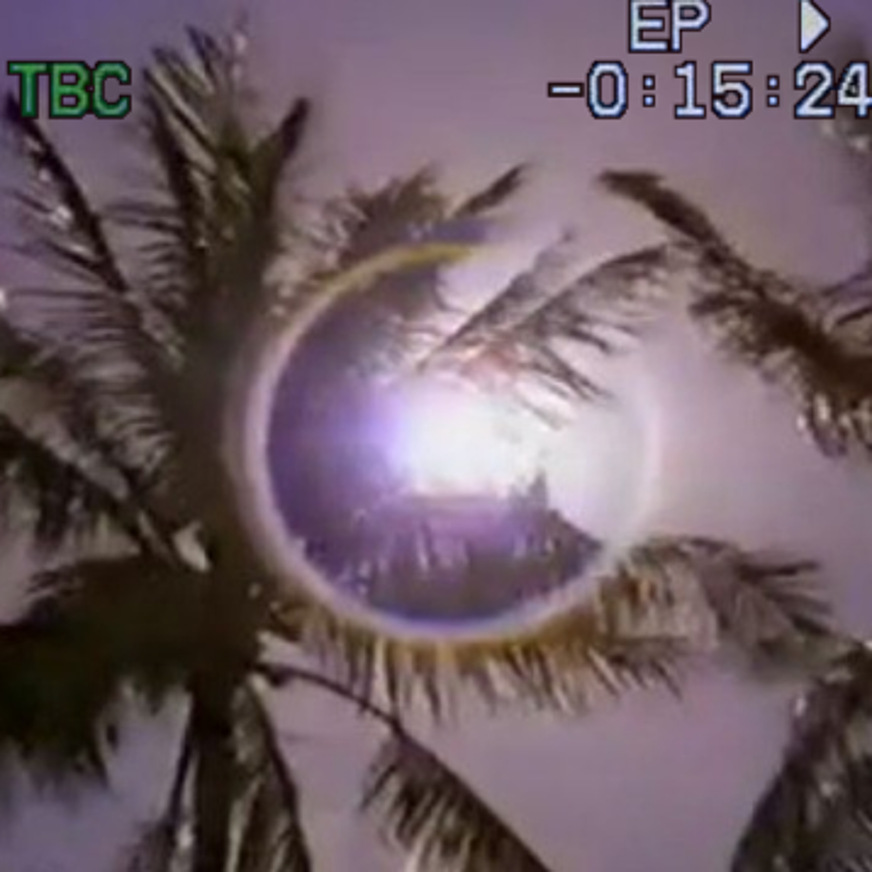 hawaiian sunset 1989 episode artwork