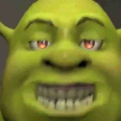 WHAT ARE YOU DOING IN MY SWAMP