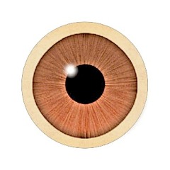 Max Raphael - Eye On You
