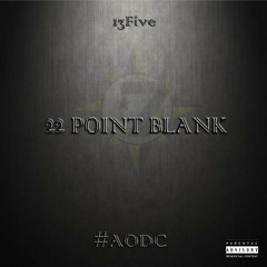 22 Point Blank