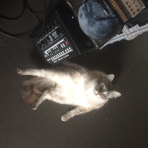 CANNIBALNOIDS//SOWDISCORD