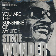 Stevie Wonder - You Are The Sunshine Of My Life - Greenkillerz Rebeat