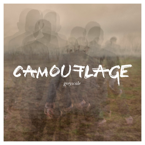 CAMOUFLAGE - Greyscale (Snippets)