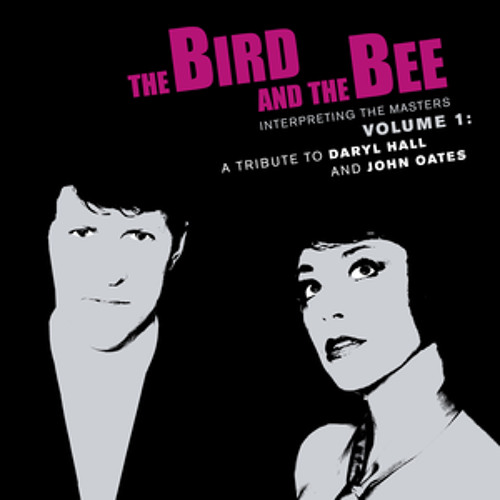 The Bird And The Bee - I Can't Go For That (Gavin From Worcester Edit)