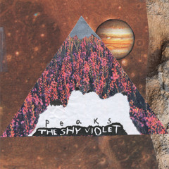 The Shy Violet - Harper's Colors