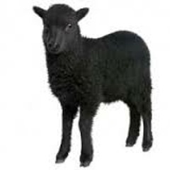 ba ba black sheep
