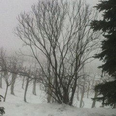 Gabriel's Message (Traditional Basque Carol) *free download*