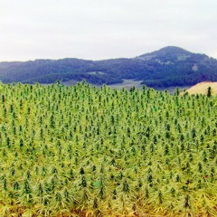 Anti Tú ( Big Ases - Emma Fly - Nasibo Trs )