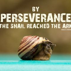 PERSERVERANCE  - Avila