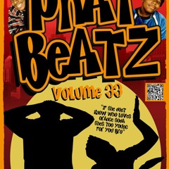 PHAT BEATZ VOLUME 33 THE SAMPLER!