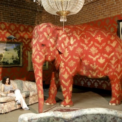 Elephant In the Room