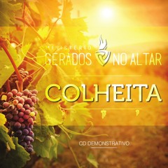 1 COLHETA