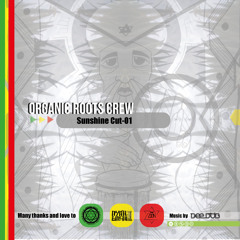 Sunshine Cut - 01