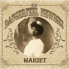 The DangerFeel Newbies - Heaven Sent You