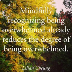 Studio Blanc Mini Oefening 'Acceptatie Van Moeiijke Momenten'