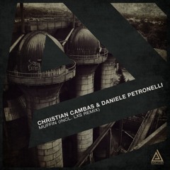 Christian Cambas & Daniele Petronelli - Muffin (Original Mix) [Evolution]